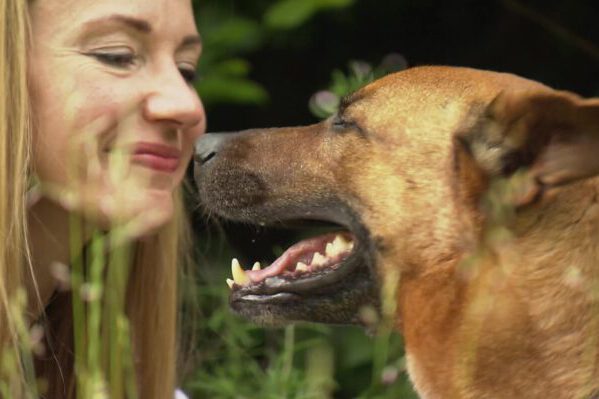 Eine «Dating-Plattform» für Hundehalter und Hundeliebhaber