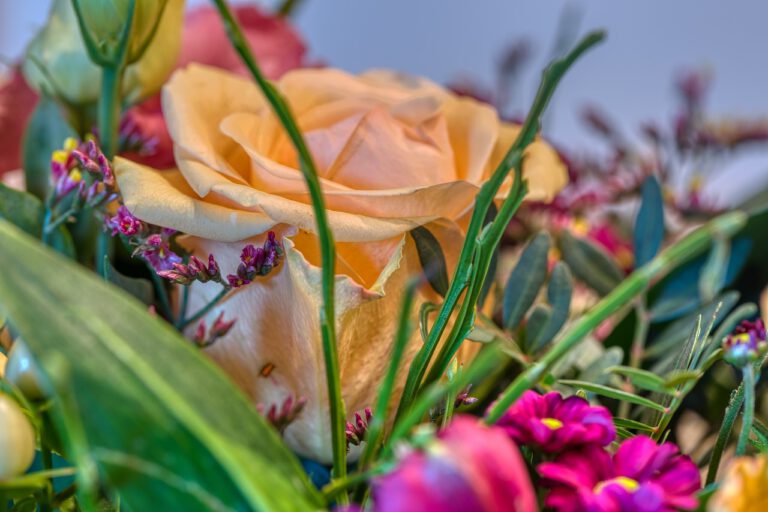 Großmutter mit 95 verrät, was wichtiger ist